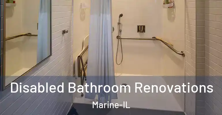 inner Bathroom imggen Disabled Bathroom Renovations Marine-IL
