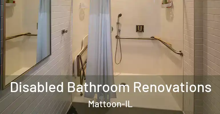 inner Bathroom imggen Disabled Bathroom Renovations Mattoon-IL