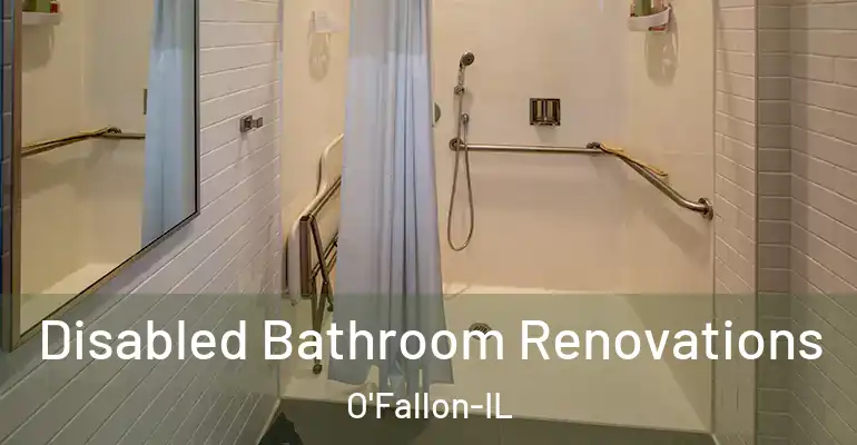 inner Bathroom imggen Disabled Bathroom Renovations O'Fallon-IL