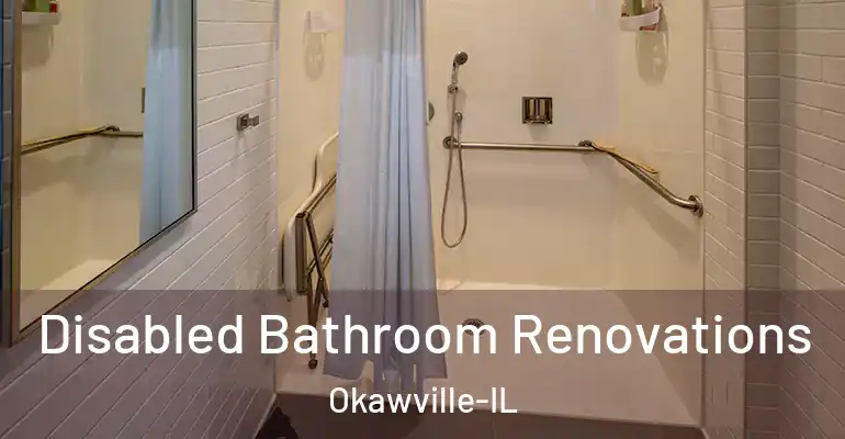 inner Bathroom imggen Disabled Bathroom Renovations Okawville-IL