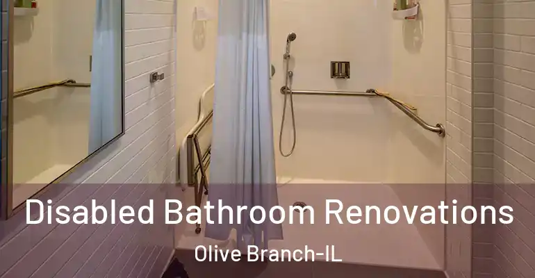 inner Bathroom imggen Disabled Bathroom Renovations Olive Branch-IL