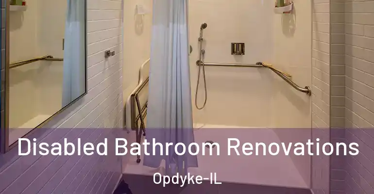 inner Bathroom imggen Disabled Bathroom Renovations Opdyke-IL