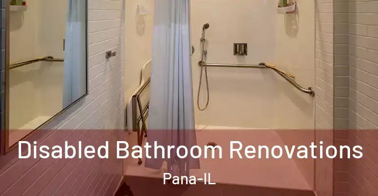 inner Bathroom imggen Disabled Bathroom Renovations Pana-IL