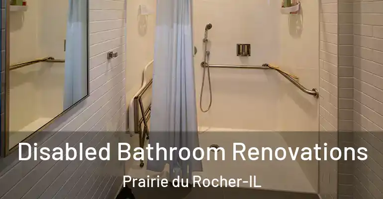 inner Bathroom imggen Disabled Bathroom Renovations Prairie du Rocher-IL