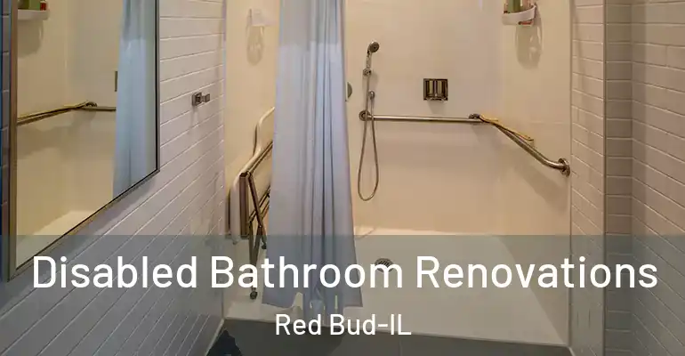 inner Bathroom imggen Disabled Bathroom Renovations Red Bud-IL