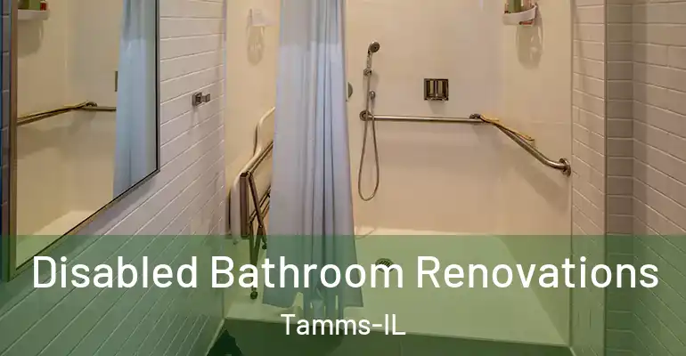inner Bathroom imggen Disabled Bathroom Renovations Tamms-IL