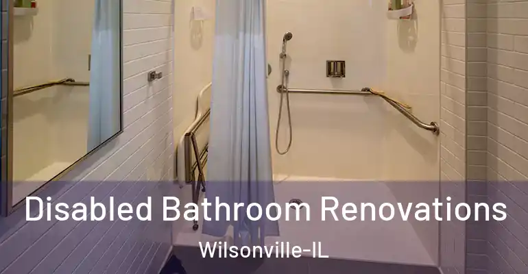 inner Bathroom imggen Disabled Bathroom Renovations Wilsonville-IL