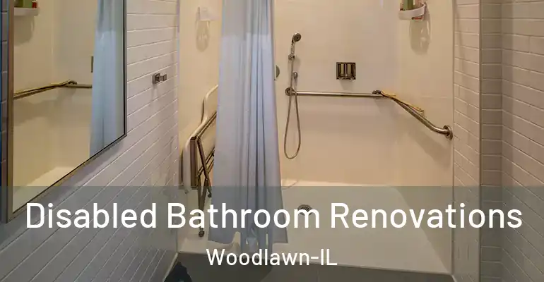inner Bathroom imggen Disabled Bathroom Renovations Woodlawn-IL