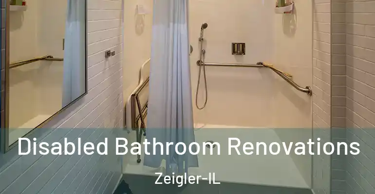 inner Bathroom imggen Disabled Bathroom Renovations Zeigler-IL