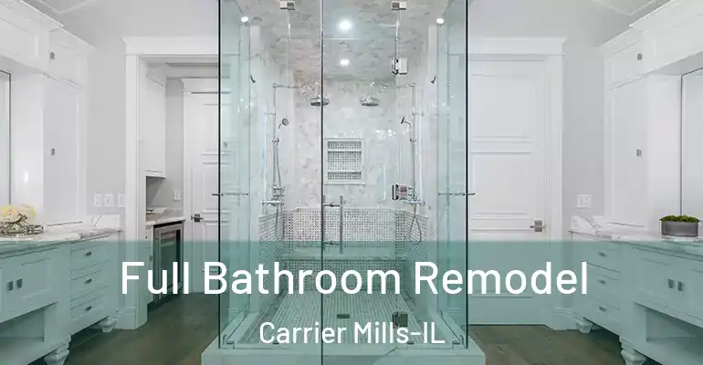 inner Bathroom imggen Full Bathroom Remodel Carrier Mills-IL