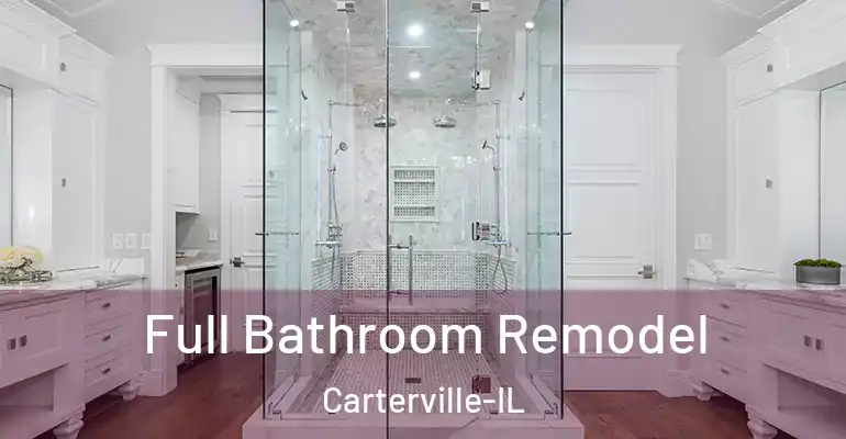 inner Bathroom imggen Full Bathroom Remodel Carterville-IL
