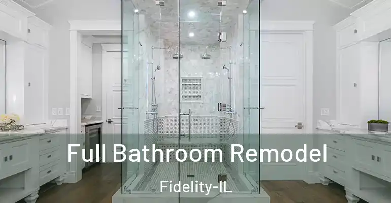 inner Bathroom imggen Full Bathroom Remodel Fidelity-IL