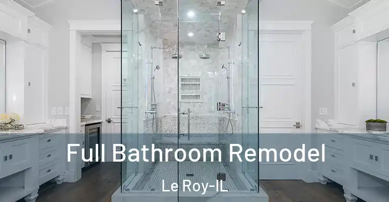 inner Bathroom imggen Full Bathroom Remodel Le Roy-IL