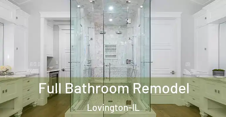 inner Bathroom imggen Full Bathroom Remodel Lovington-IL