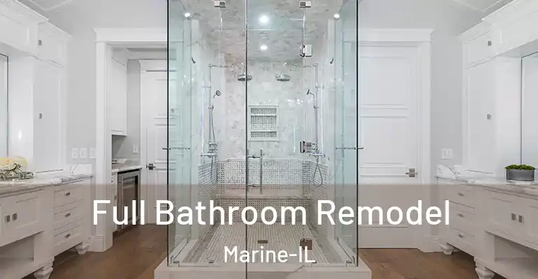inner Bathroom imggen Full Bathroom Remodel Marine-IL