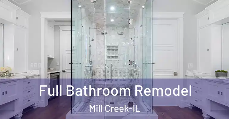 inner Bathroom imggen Full Bathroom Remodel Mill Creek-IL