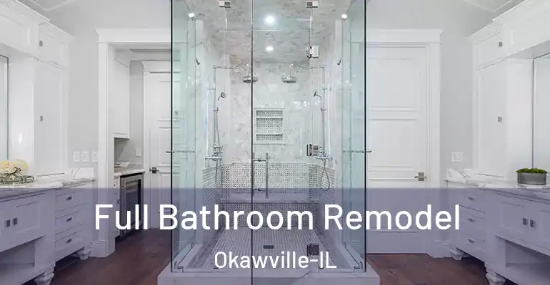 inner Bathroom imggen Full Bathroom Remodel Okawville-IL