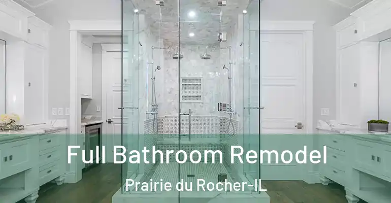 inner Bathroom imggen Full Bathroom Remodel Prairie du Rocher-IL