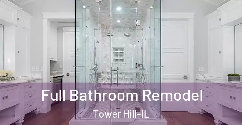 inner Bathroom imggen Full Bathroom Remodel Tower Hill-IL
