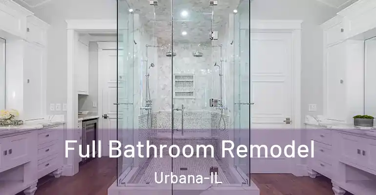 inner Bathroom imggen Full Bathroom Remodel Urbana-IL