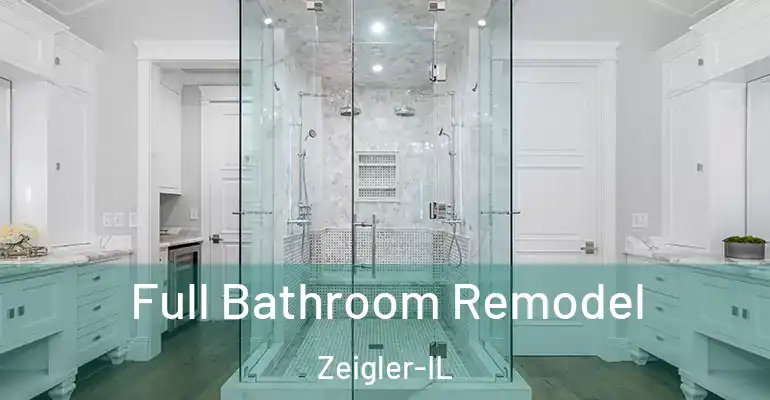 inner Bathroom imggen Full Bathroom Remodel Zeigler-IL