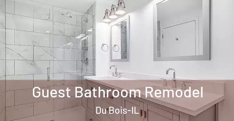 inner Bathroom imggen Guest Bathroom Remodel Du Bois-IL