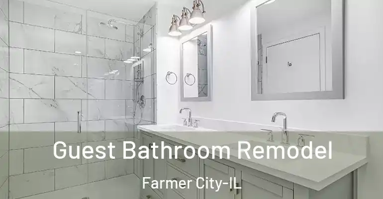 inner Bathroom imggen Guest Bathroom Remodel Farmer City-IL