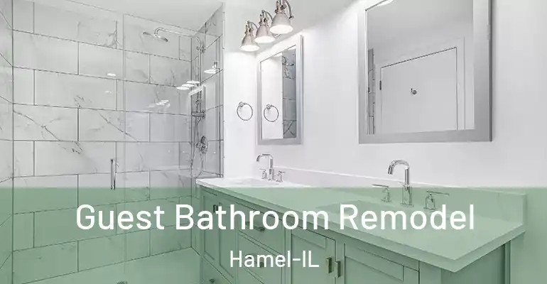 inner Bathroom imggen Guest Bathroom Remodel Hamel-IL