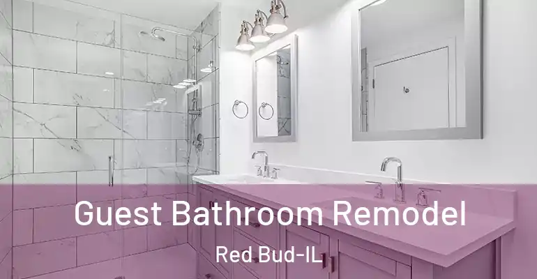 inner Bathroom imggen Guest Bathroom Remodel Red Bud-IL