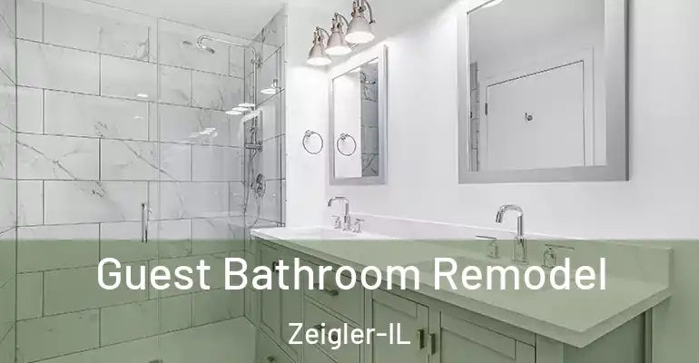 inner Bathroom imggen Guest Bathroom Remodel Zeigler-IL