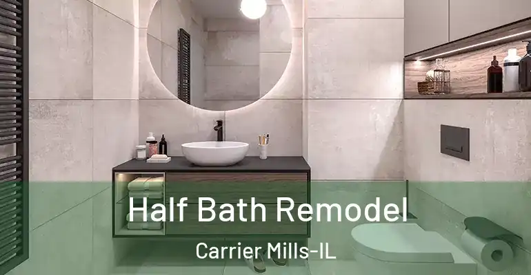 inner Bathroom imggen Half Bath Remodel Carrier Mills-IL