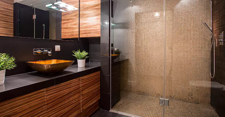 Half Bath Addition in Urbana