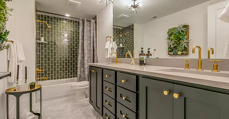 Budget Shower Remodel in Urbana, IL