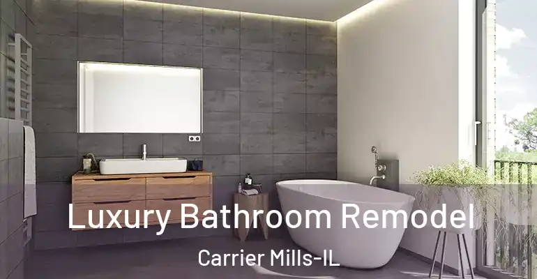 inner Bathroom imggen Luxury Bathroom Remodel Carrier Mills-IL