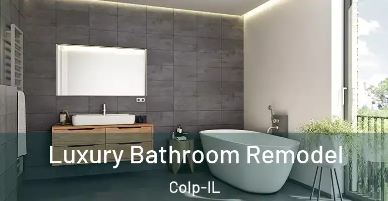inner Bathroom imggen Luxury Bathroom Remodel Colp-IL