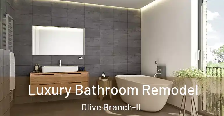 inner Bathroom imggen Luxury Bathroom Remodel Olive Branch-IL