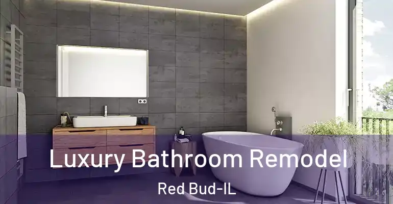 inner Bathroom imggen Luxury Bathroom Remodel Red Bud-IL