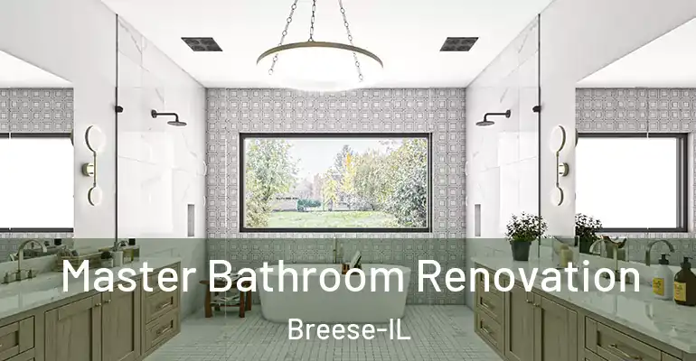 inner Bathroom imggen Master Bathroom Renovation Breese-IL