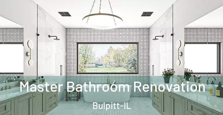 inner Bathroom imggen Master Bathroom Renovation Bulpitt-IL