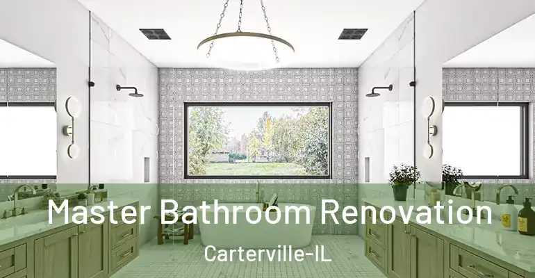 inner Bathroom imggen Master Bathroom Renovation Carterville-IL
