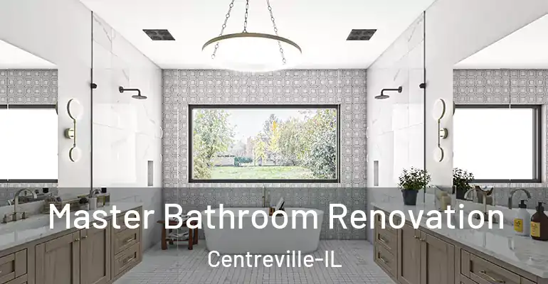 inner Bathroom imggen Master Bathroom Renovation Centreville-IL