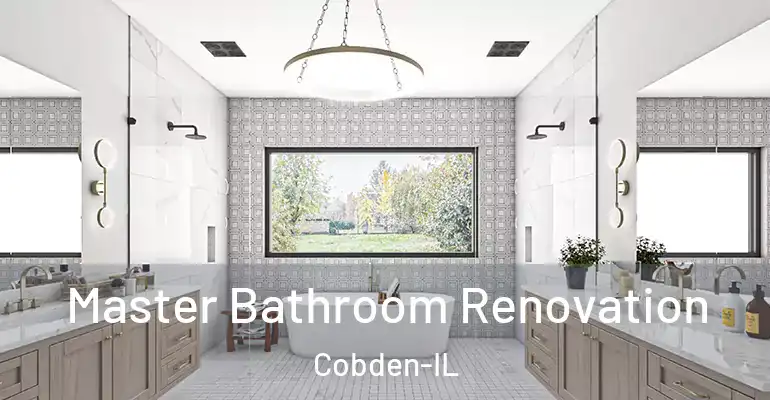 inner Bathroom imggen Master Bathroom Renovation Cobden-IL