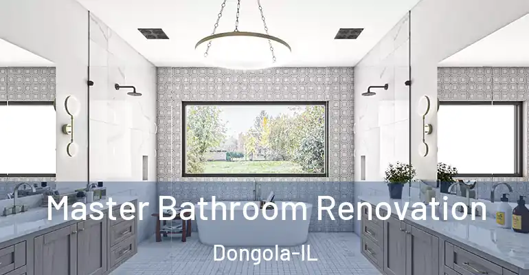inner Bathroom imggen Master Bathroom Renovation Dongola-IL