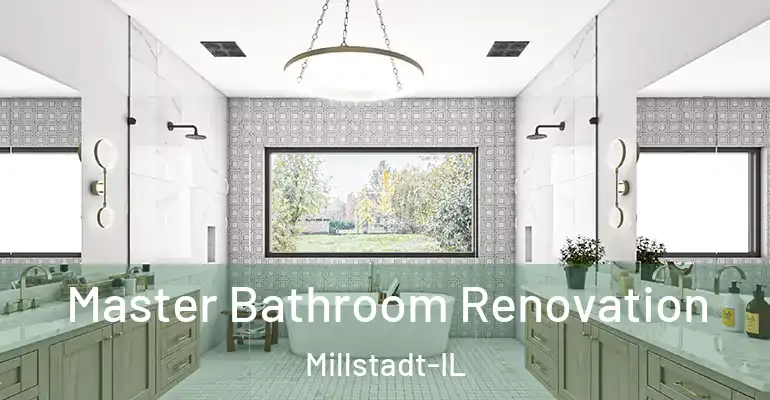 inner Bathroom imggen Master Bathroom Renovation Millstadt-IL