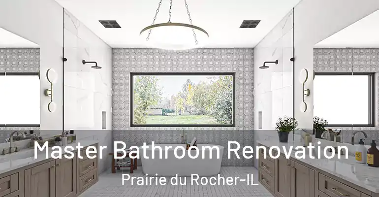 inner Bathroom imggen Master Bathroom Renovation Prairie du Rocher-IL