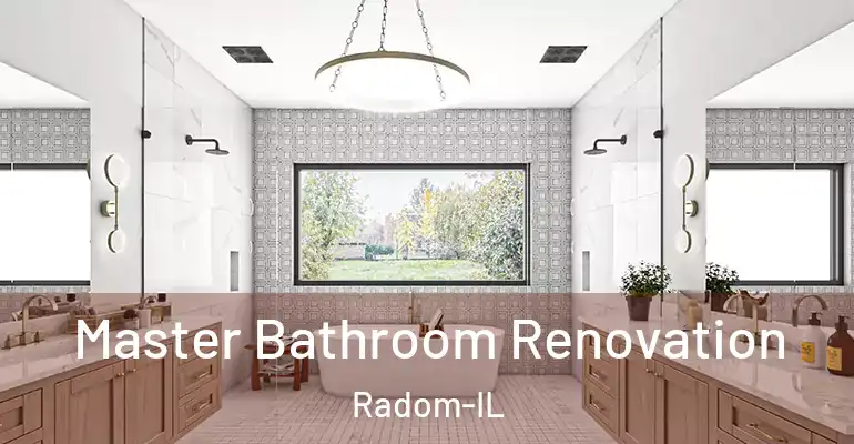 inner Bathroom imggen Master Bathroom Renovation Radom-IL