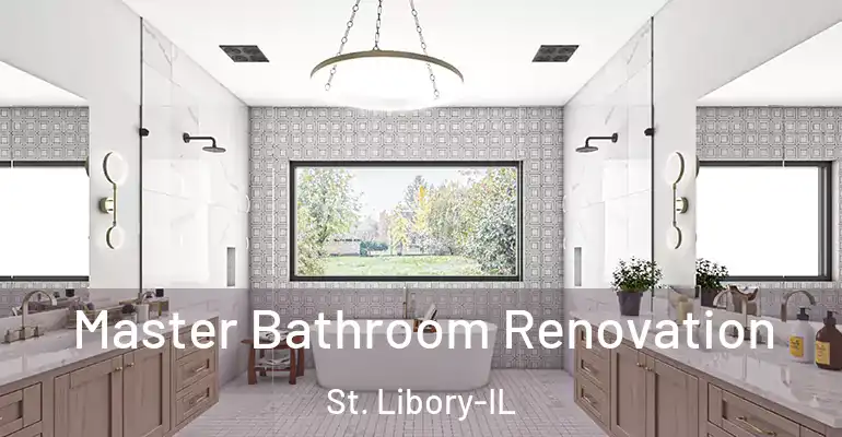 inner Bathroom imggen Master Bathroom Renovation St. Libory-IL