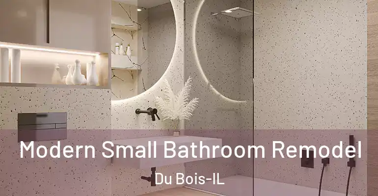 inner Bathroom imggen Modern Small Bathroom Remodel Du Bois-IL
