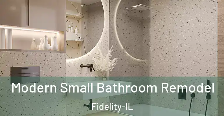 inner Bathroom imggen Modern Small Bathroom Remodel Fidelity-IL