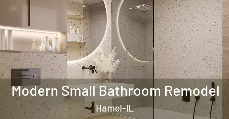 inner Bathroom imggen Modern Small Bathroom Remodel Hamel-IL